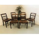 A SET OF SIX EARLY C19TH EAST ANGLIAN HARD SEATED CHAIRS