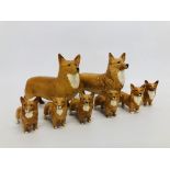 A COLLECTION OF 8 BESWICK CORGI DOGS INC.