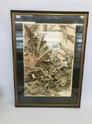 LIMITED EDITION FRAMED PRINT "COTTONTAIL RABBITS" AXEL AMUCHASTEGUI 93/250