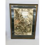 LIMITED EDITION FRAMED PRINT "COTTONTAIL RABBITS" AXEL AMUCHASTEGUI 93/250