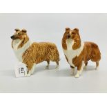 A PAIR OF BESWICK LADYPARK COLLIE DOGS (DIFFERENT COLOURS) 1 MARKED LOCHINVAR OF LADY PARK