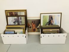 AN EXTENSIVE COLLECTION OF FRAMED HORSE,