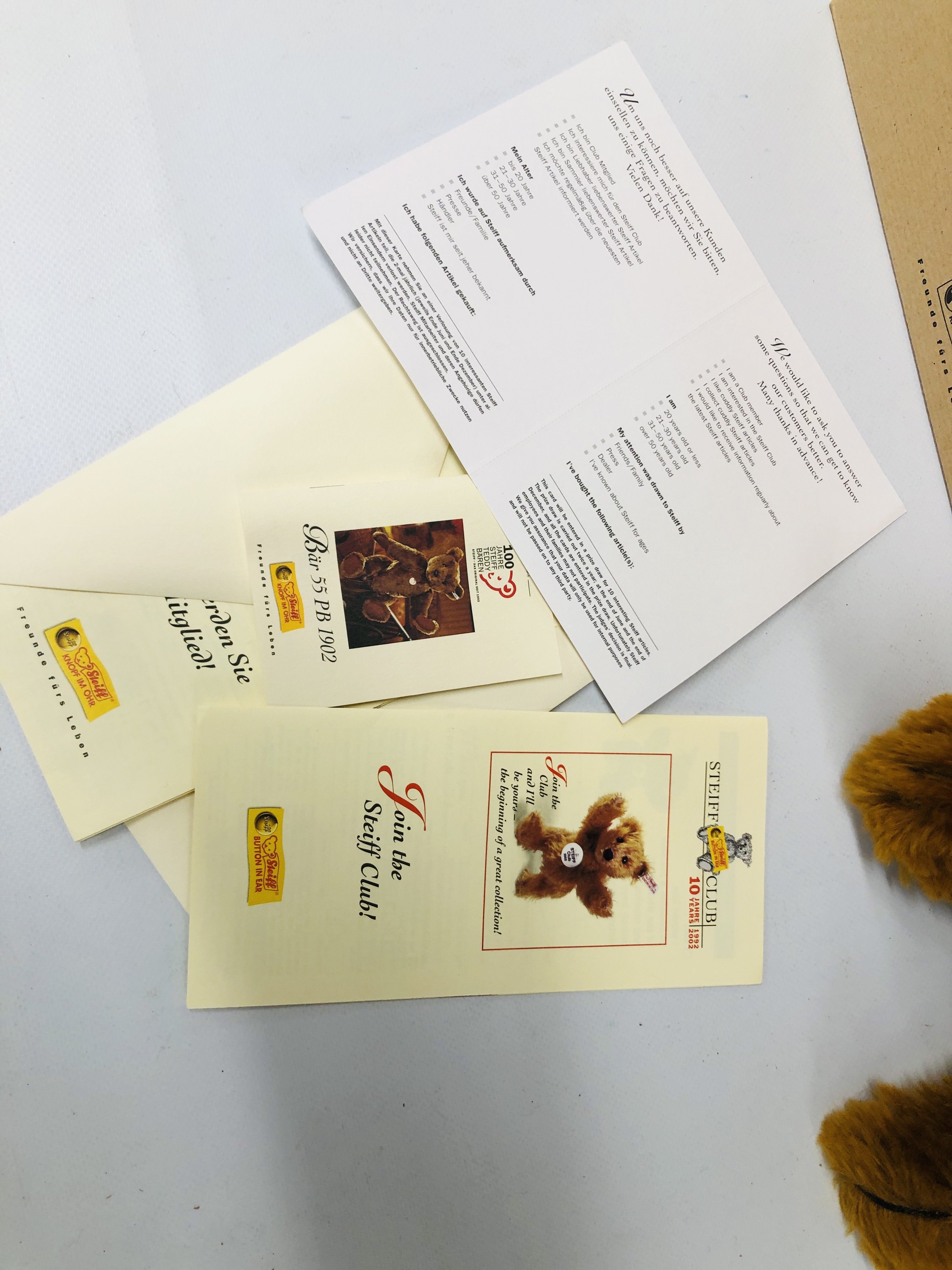 100 YEAR STEIFF TEDDY BEAR 404009 BOXED WITH ORIGINAL CERTIFICATES - Image 3 of 6