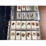 TWO ALBUMS OF CIGARETTE CARDS