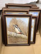 A COLLECTION OF NINE FRAMED OIL ON BOARD BROADLAND AND BIRD LIFE STUDIES BEARING SIGNATURE OF