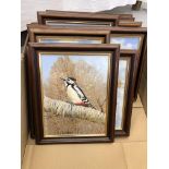 A COLLECTION OF NINE FRAMED OIL ON BOARD BROADLAND AND BIRD LIFE STUDIES BEARING SIGNATURE OF