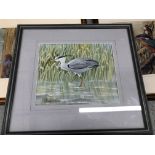 A COLLECTION OF NINE FRAMED BIRD LIFE STUDIES TO INCLUDE HERONS, FINCHES,