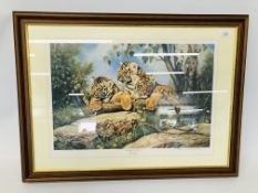 FRAMED LIMITED EDITION PRINT "NEW HOPE FOR THE FUTURE" (SIBERIAN TIGER CUBS) BEARING SIGNATURE