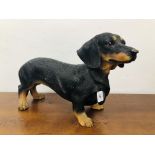 VIVID ARTS REAL LIFE MODEL OF A SAUSAGE DOG