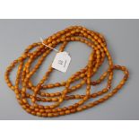 A single row amber bead long chain, the small oval beads of uniform size, approximately 328cm 115g
