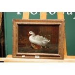 19th century school Mother duck and goslings on a mossy bank oil on mahogany panel 24 x 34cm