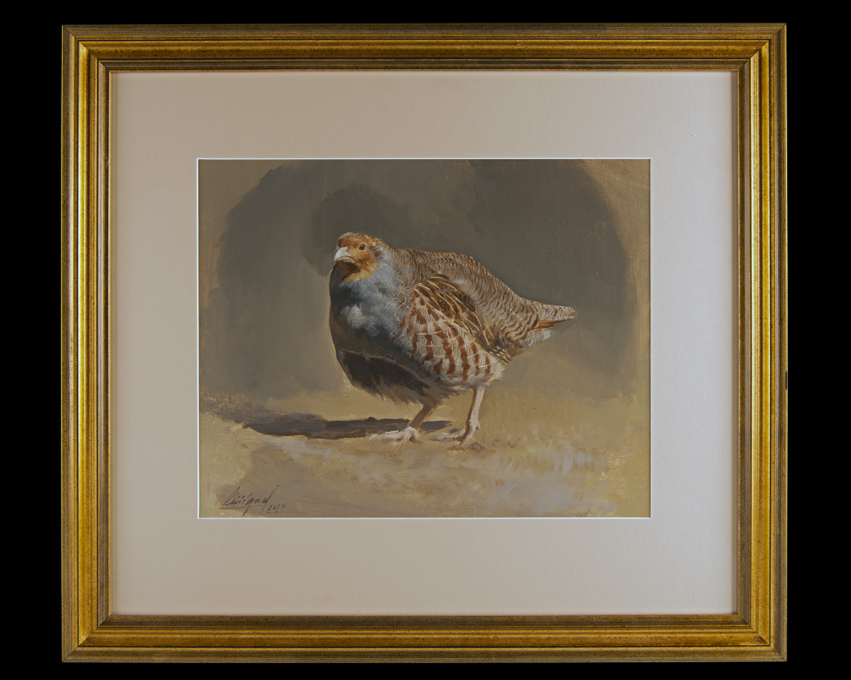 MIGUEL ANGEL MORALEDA A FINE OIL ON CANVAS 'GREY PARTRIDGE STUDY', an original painting, signed by