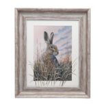 MARK CHESTER (F.W.A.S.) 'AUTUMN HARE', an original painting, signed by the artist, showing an