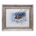 MARK CHESTER (F.W.A.S.) 'WINTER WOODCOCK', an original pin feather painting, signed by the artist,
