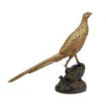 A GILT BRONZE OF A PHEASANT, circa 1900, showing a full-mount pheasant perched on a rockery,