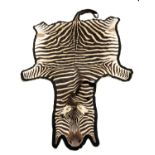 A FULL RUG MOUNT OF A ZEBRA (equus quagga), lined with black baize, measuring approx. 125in. x