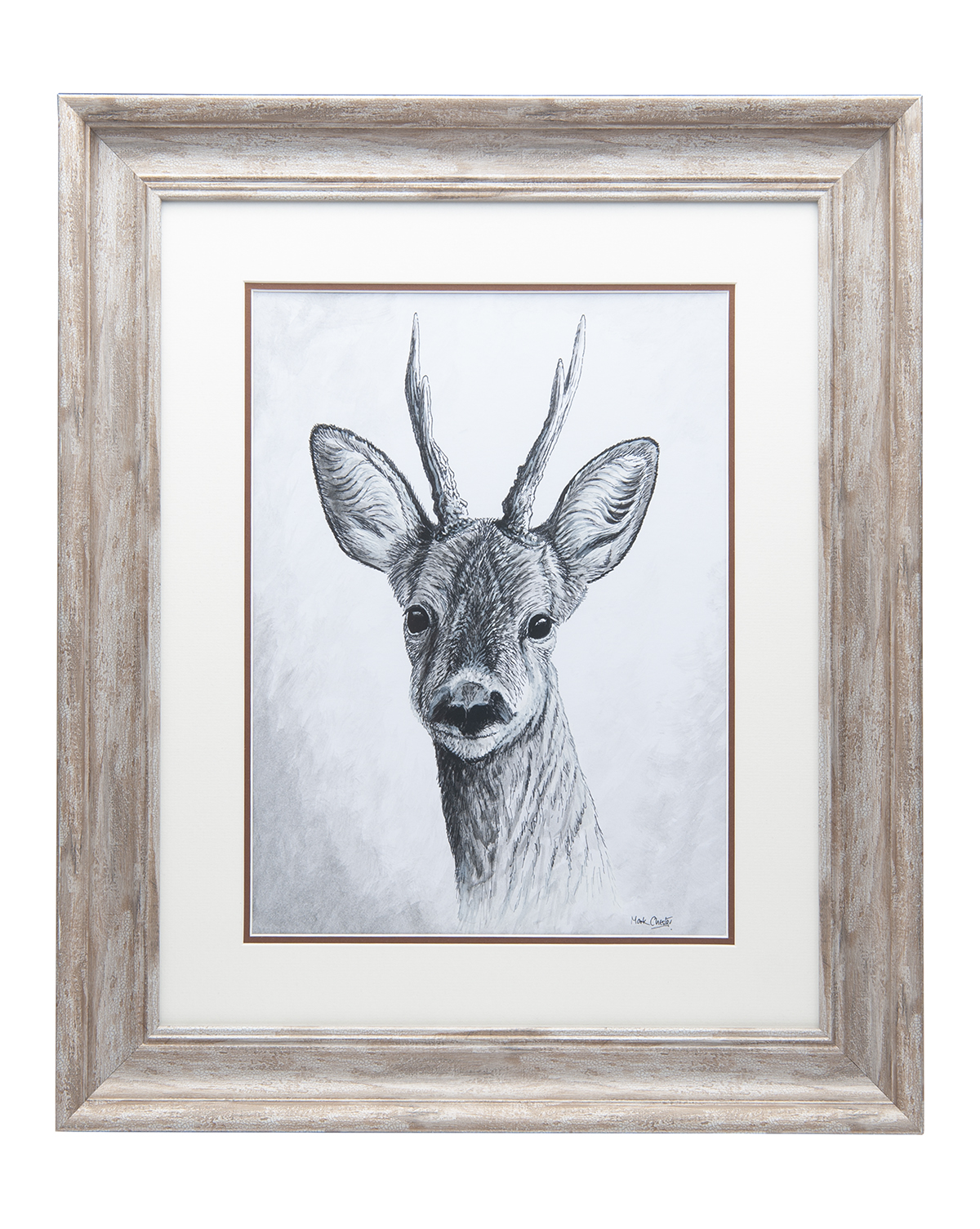 MARK CHESTER (F.W.A.S.) 'ROE DEER', an original pen and ink drawing signed by the artist, showing