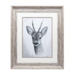 MARK CHESTER (F.W.A.S.) 'ROE DEER', an original pen and ink drawing signed by the artist, showing