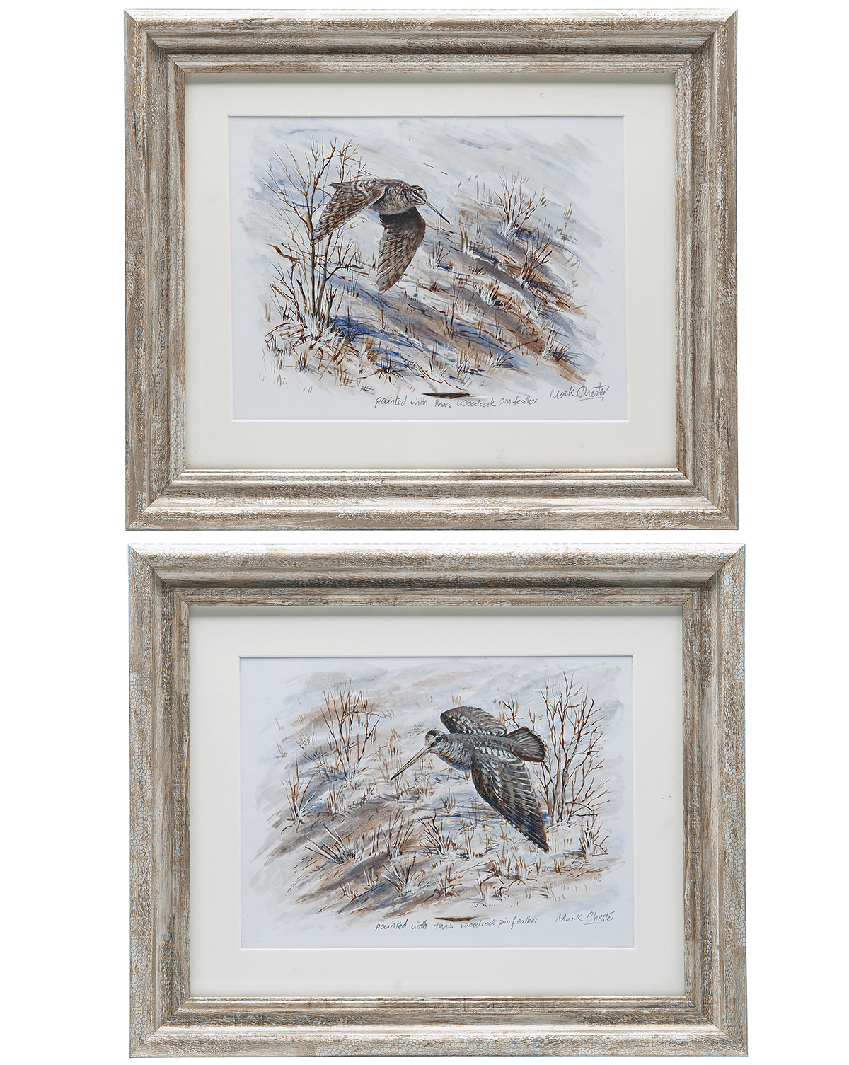 MARK CHESTER (F.W.A.S.) A COLLECTION OF TWO WOODCOCK PIN FEATHER PAINTINGS, two original paintings