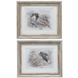 MARK CHESTER (F.W.A.S.) A COLLECTION OF TWO WOODCOCK PIN FEATHER PAINTINGS, two original paintings