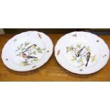 A Meissen ornithological plate decorated with a bi