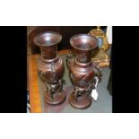 A pair of oriental bronze vases - 30cm high