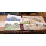 Selection of original watercolours, botanical prin