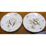 A Meissen ornithological plate decorated with a bi