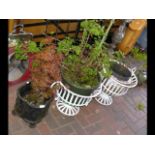 A pair of wrought iron garden planters with plants