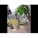 An attractive metal garden planter, together with