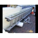 A two section aluminium garden ladder