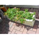 A decorative garden trough with shrub