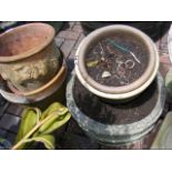 Selection of five garden pots