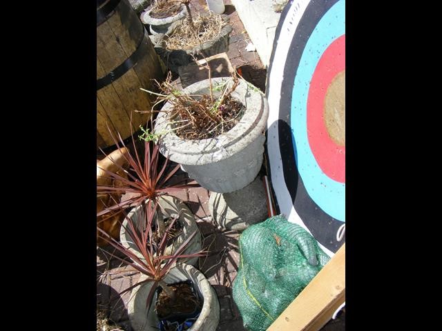 A concrete garden plant pot on plinth, plus one ot