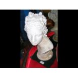 A plaster cast of a Greek/Roman statue head - 43cm