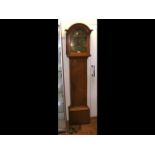 A 19th century Isle of Wight Grandfather clock - t