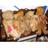 A collection of 11 vintage teddy bears