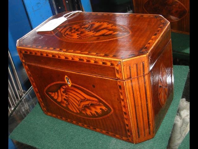 A Georgian inlaid tea caddy - 19cm x 11cm and 12cm