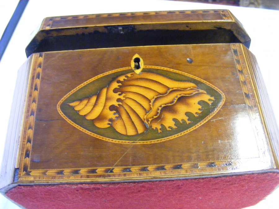 A Georgian inlaid tea caddy - 19cm x 11cm and 12cm - Image 8 of 9