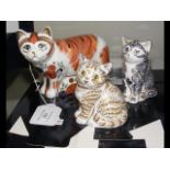 Royal Crown Derby Collectors Guild Cat