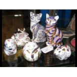 Six various Royal Crown Derby paperweights, includ