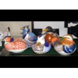 Five Royal Crown Derby bird paperweights