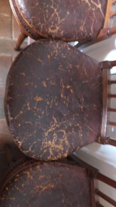 A set of four 19th century ship's saloon chairs wi - Image 8 of 11