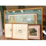 A framed and glazed print depicting game bird in f