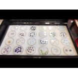 A counter-top display case containing various gems