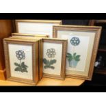 A collection of antique style botanical prints, al