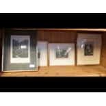 Four coloured prints of Shanklin Chines, framed an