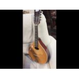 A Portuguese mandolin