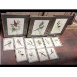 A selection of Gould & Richter coloured bird litho