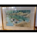 A watercolour of ducks on pond, signed 'Williams'